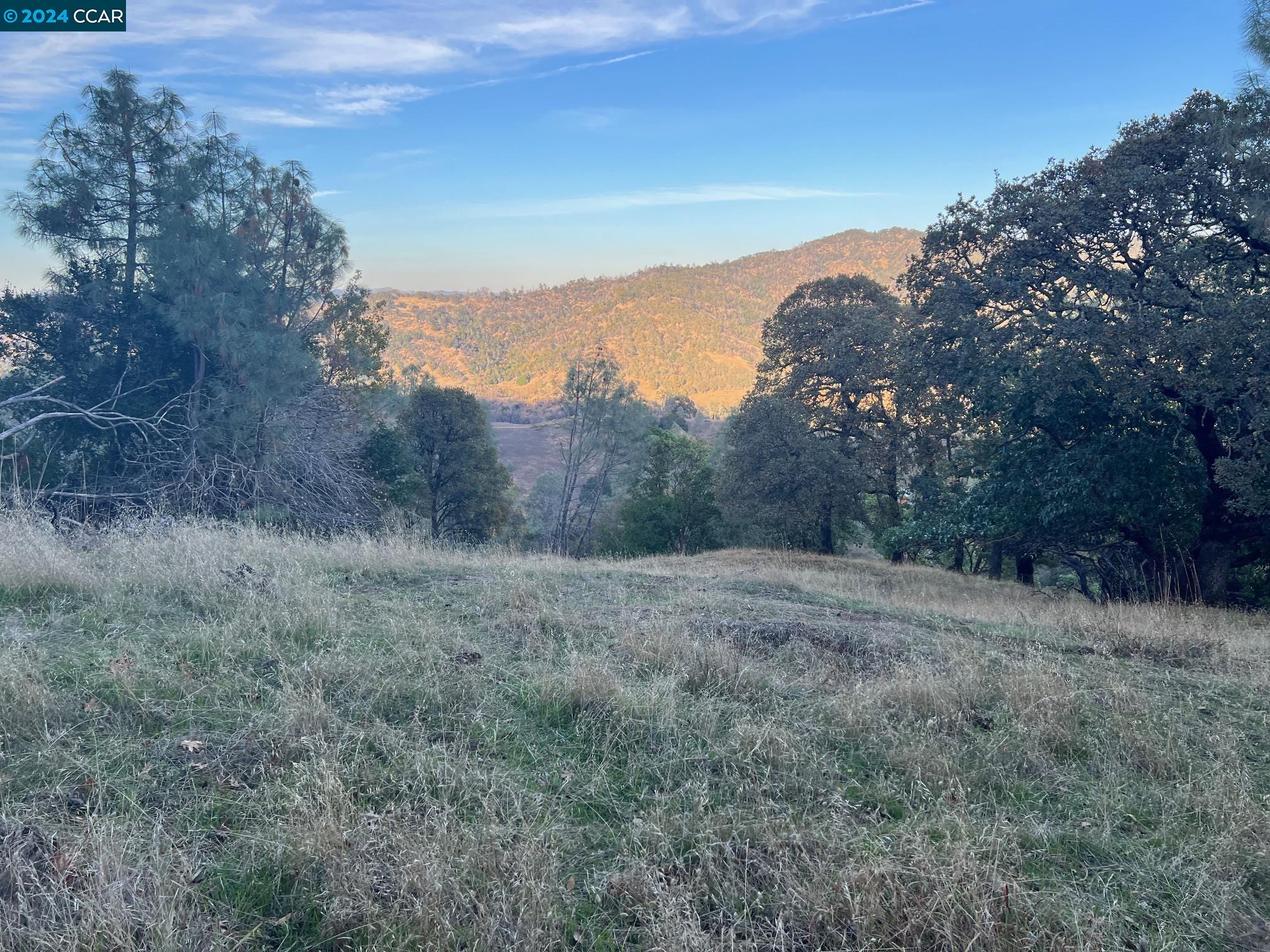 197 Country Club Lane Napa, CA 94558 - Photo 2 of 6 a view of an outdoor space with green field and trees