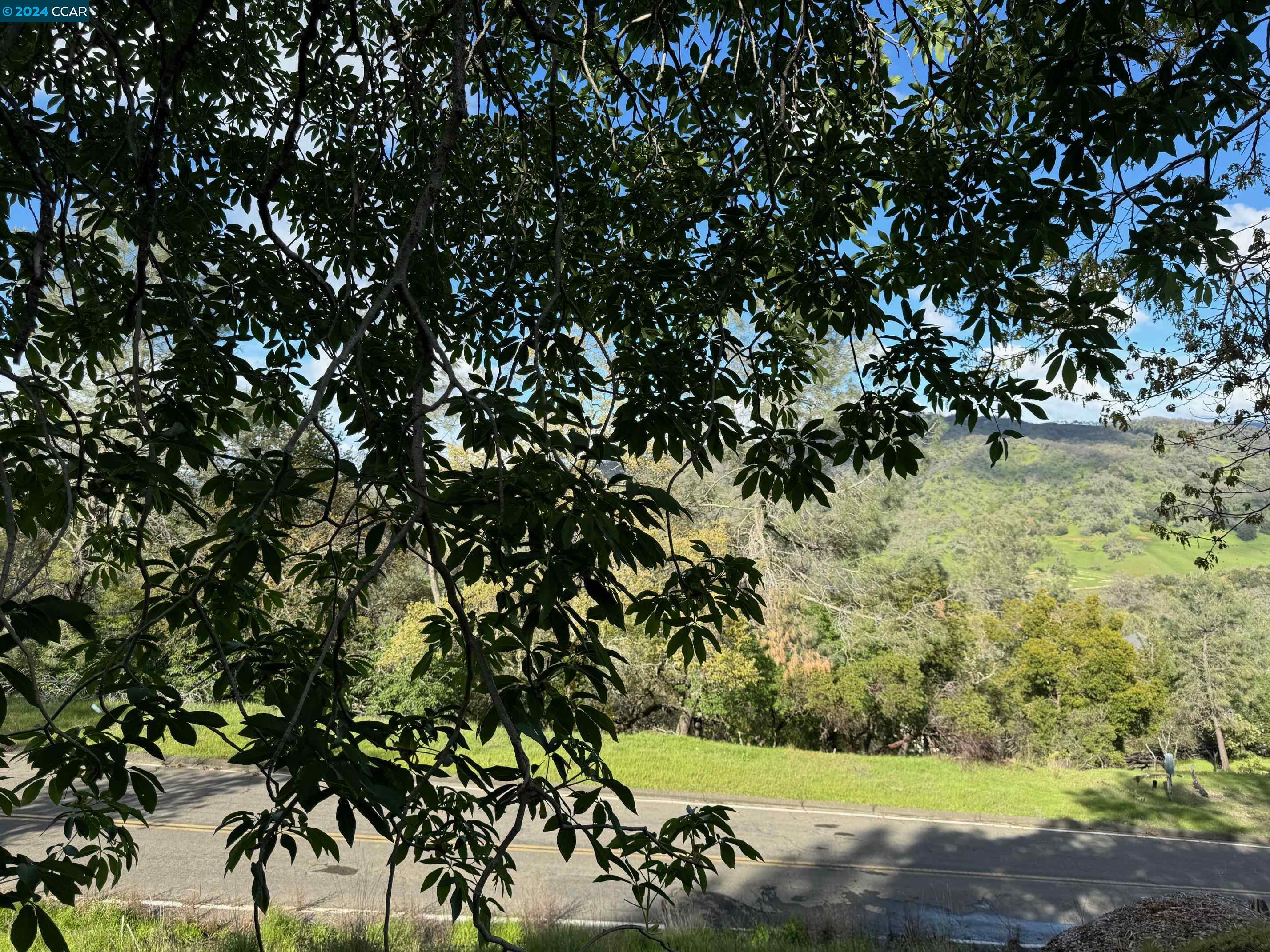 197 Country Club Lane Napa, CA 94558 - Photo 4 of 6 a view of a yard