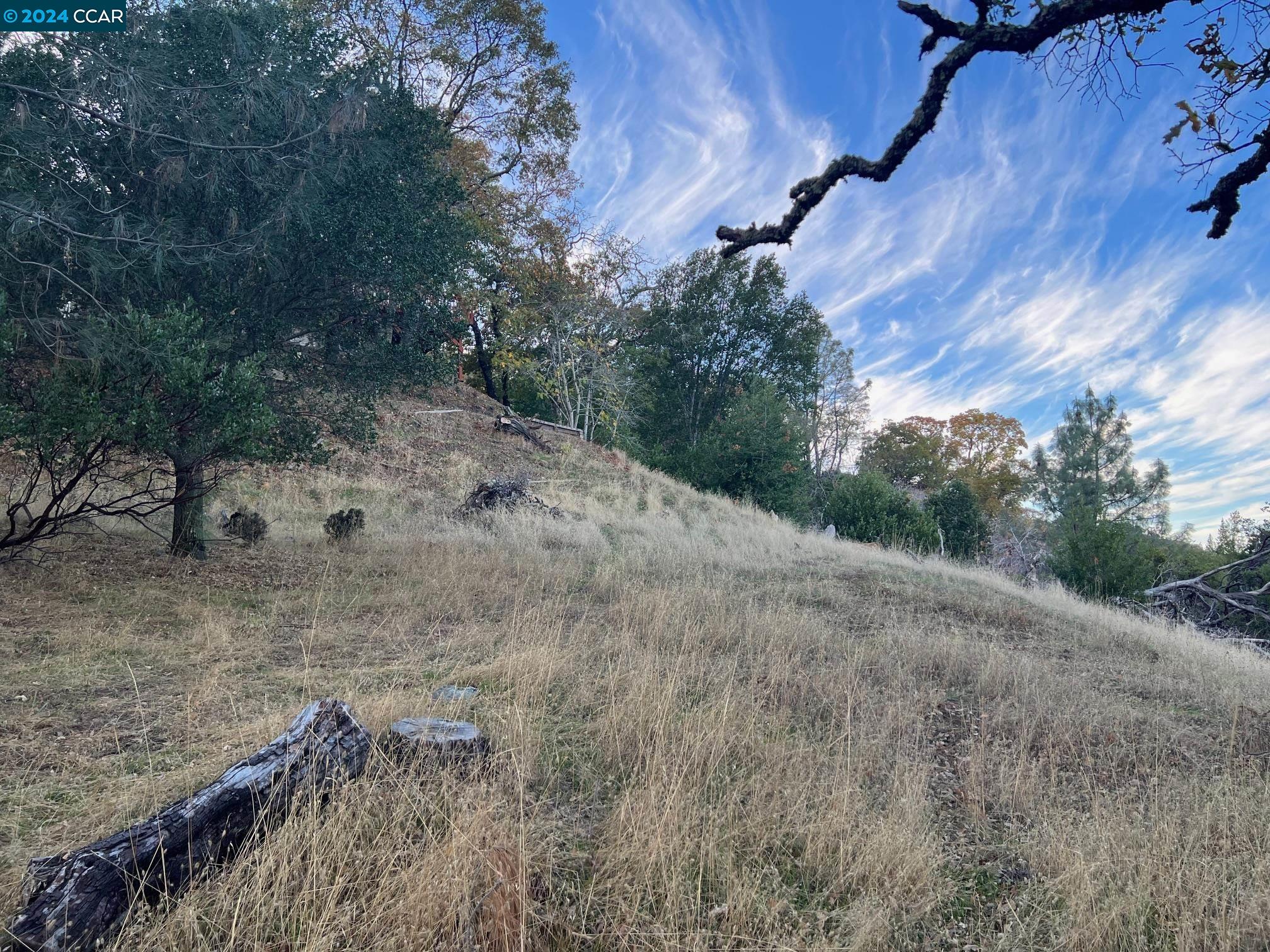 197 Country Club Lane Napa, CA 94558 - Photo 5 of 6 a view of a dry yard with trees