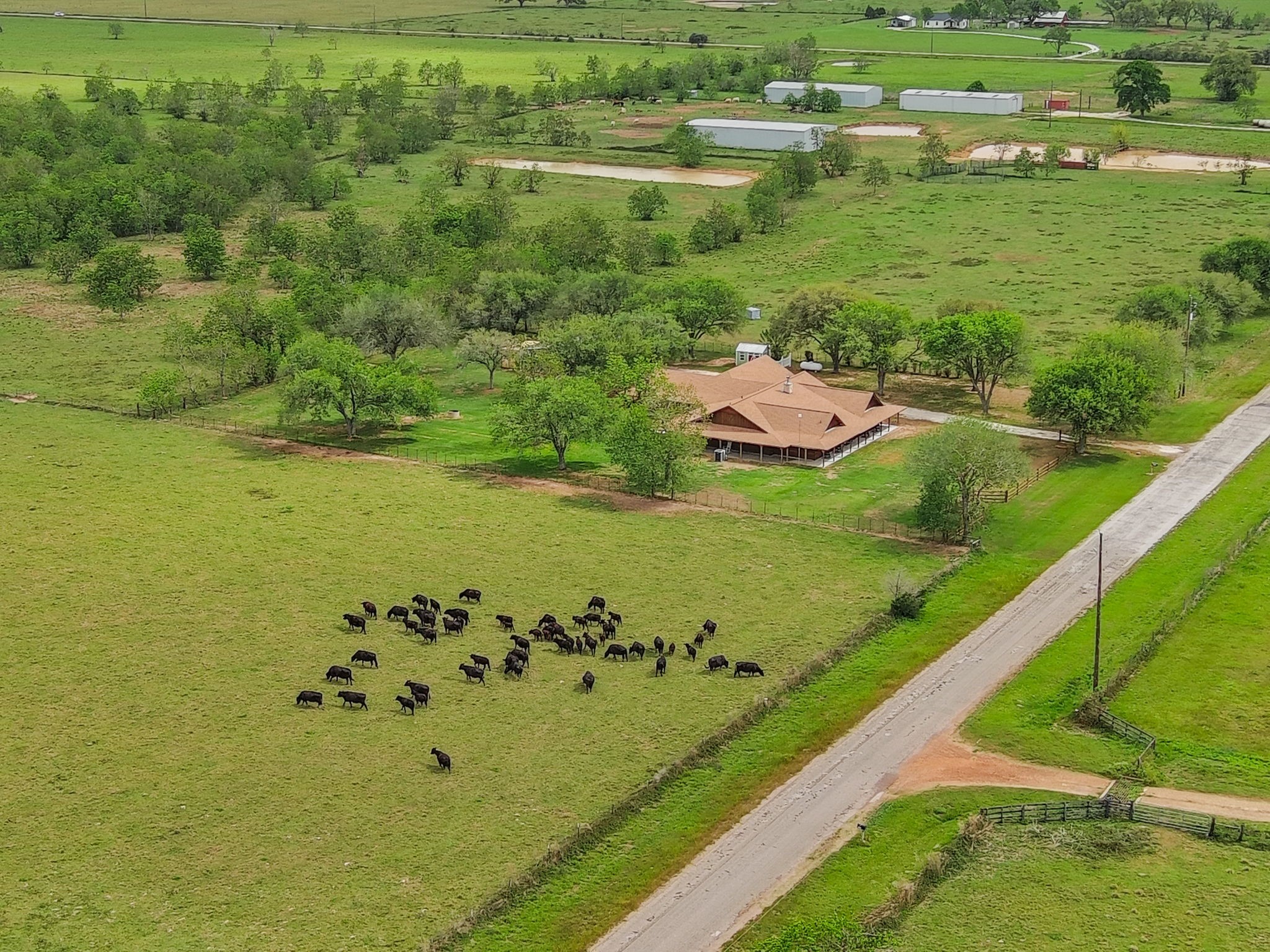 16120 Brown Road Waller, TX 77484 - Photo 45 of 50 Drone View