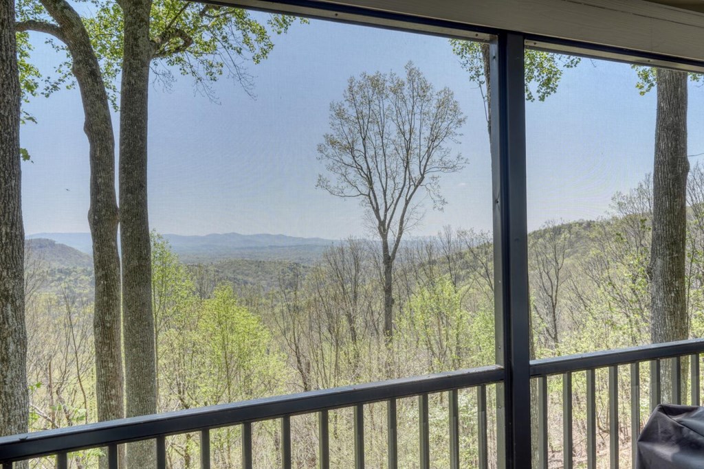 1142 Walnut Ridge Ellijay, GA 30536 - Photo 3 of 56