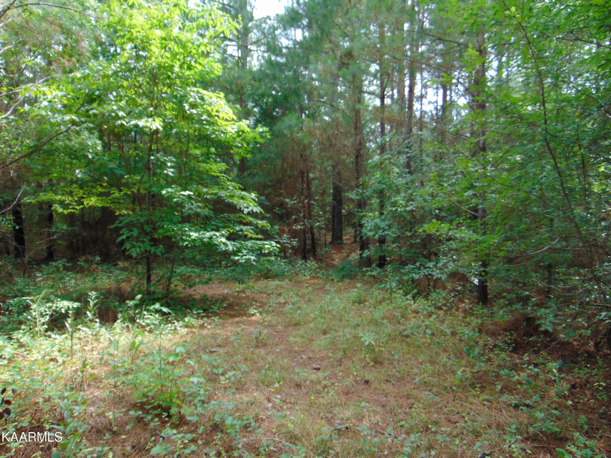 37 Pinhook Road Delano, TN 37325 - Photo 28 of 47 Gallery Image 28