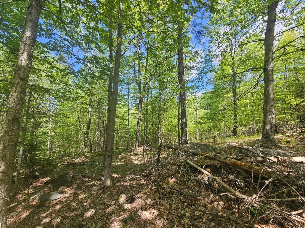 21 Jewett Way Hanover, ME 04237 - Photo 31 of 57 20260526_110208