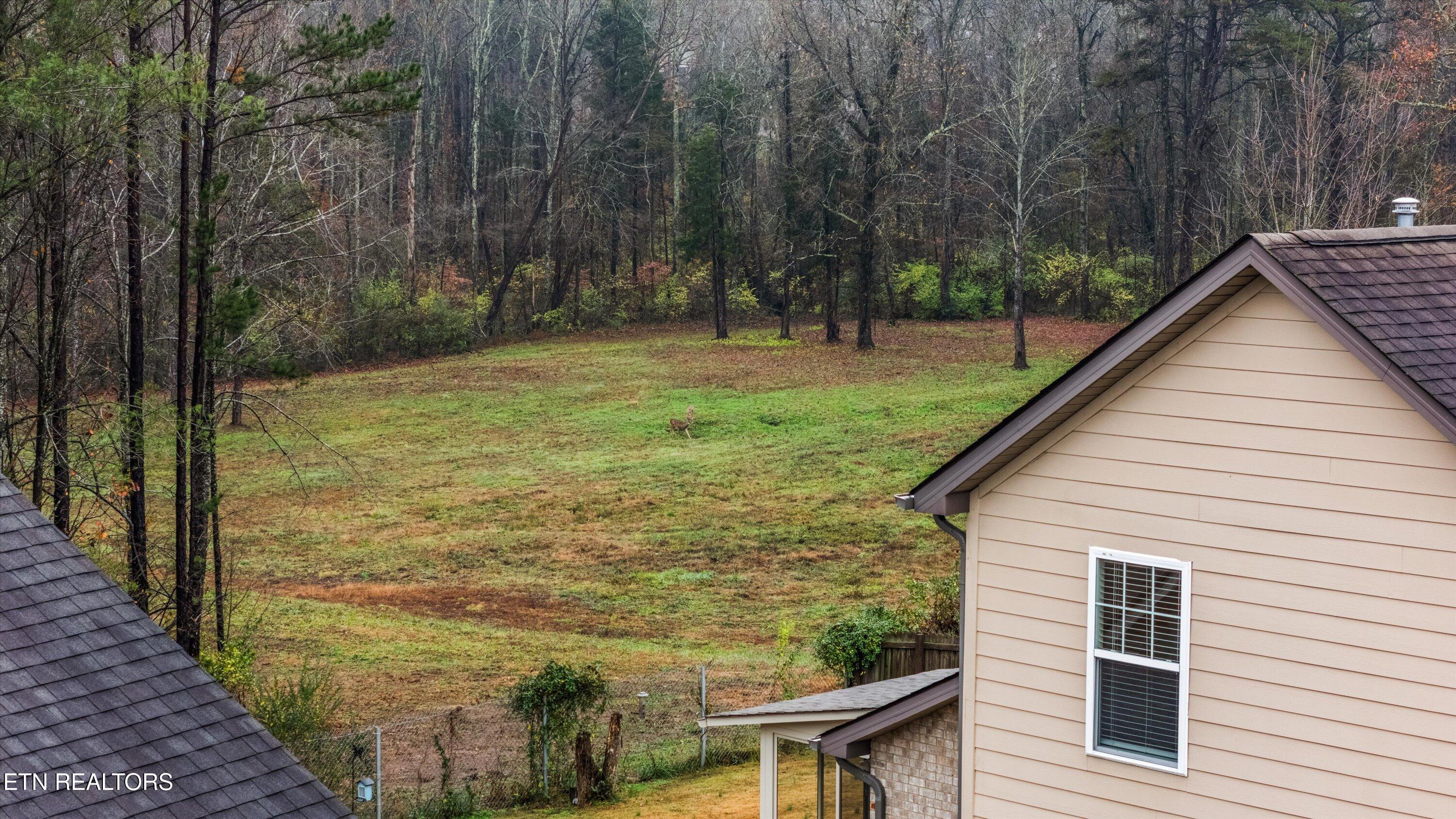 165 Crossroads Boulevard Oak Ridge, TN 37830 - Photo 35 of 39 Land Behing Home