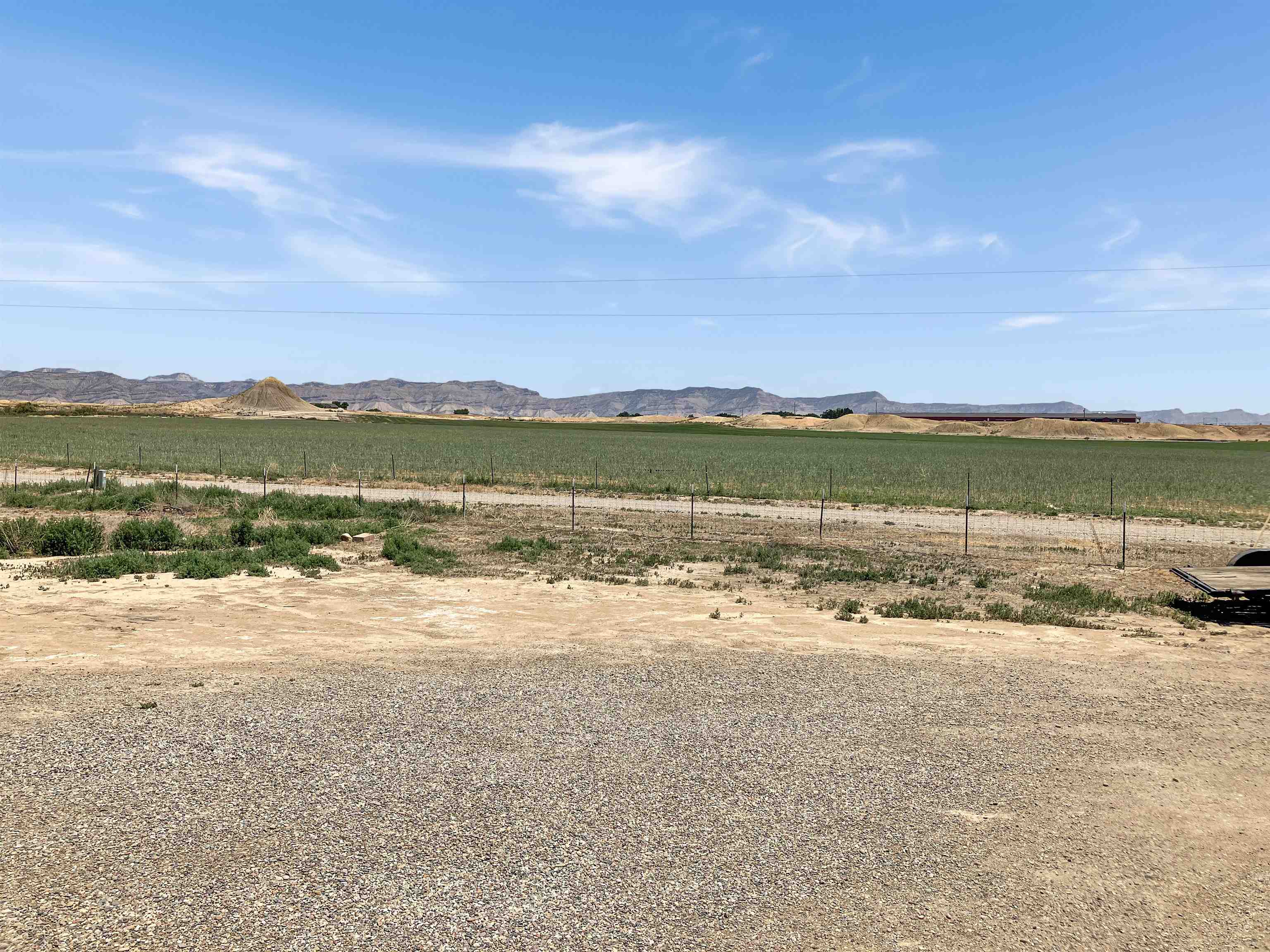 1665 17 Road Loma, CO 81524 - Photo 4 of 41