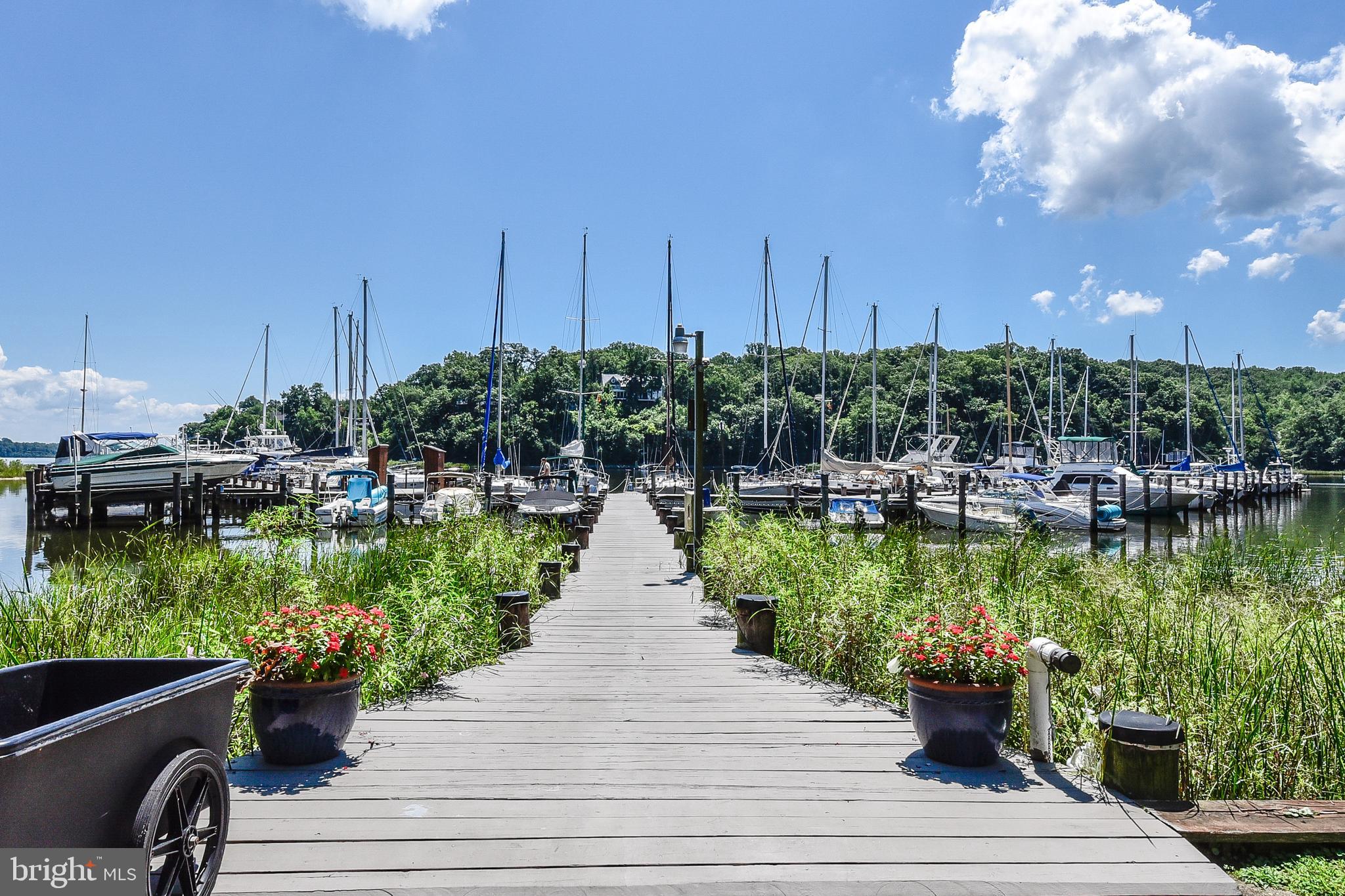 1489 Downham Market Annapolis, MD 21401 - Photo 39 of 47