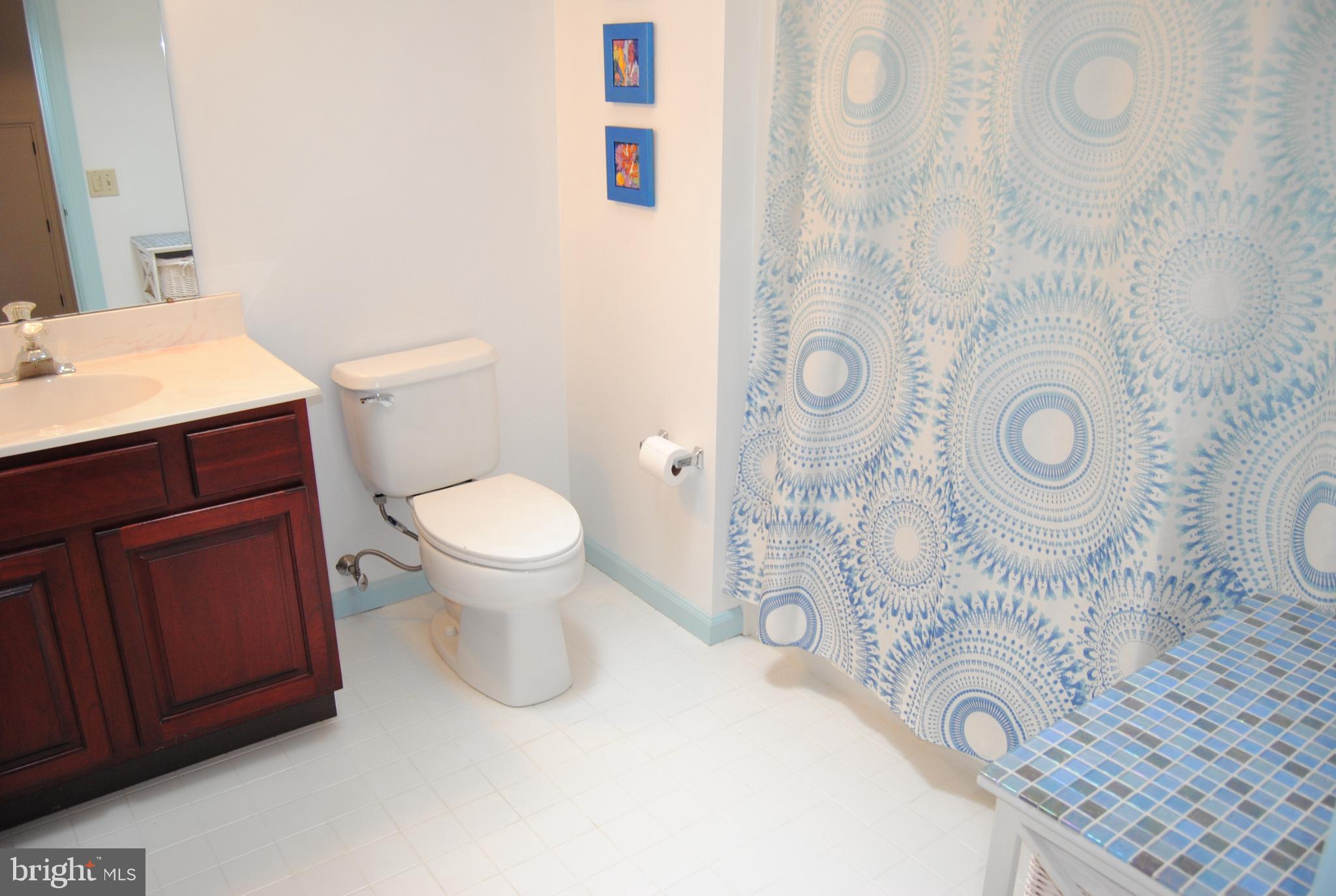 717 Cedar Hill Road Ambler, PA 19002 - Photo 25 of 38 Hall full bath