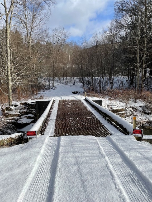 844 Horton Brook Road Roscoe, NY 12776 - Photo 15 of 25 Bridge over Horton Brook Stream