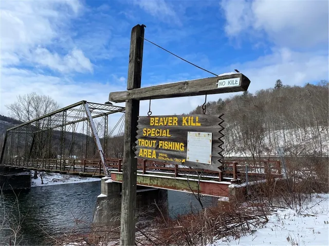 $150,000 | 844 Horton Brook Road, Roscoe, NY 12776