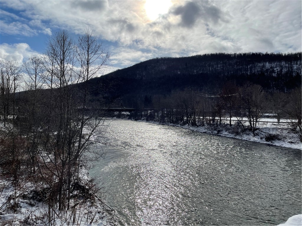 844 Horton Brook Road Roscoe, NY 12776 - Photo 24 of 25 Beaver Kill Delaware County