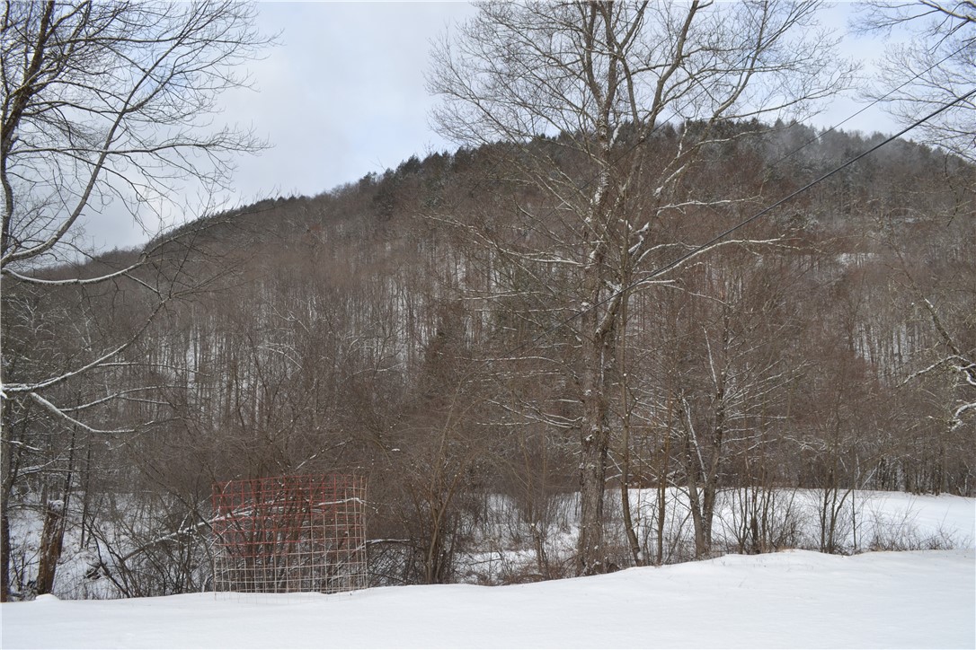 844 Horton Brook Road Roscoe, NY 12776 - Photo 4 of 25 View of mountains