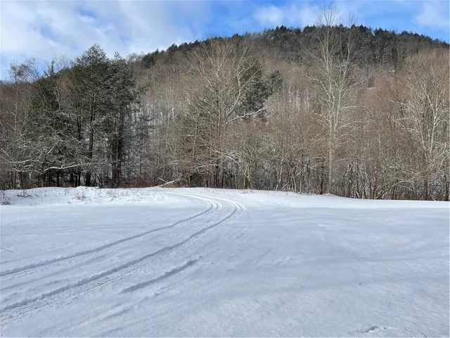 $150,000 | 844 Horton Brook Road, Roscoe, NY 12776