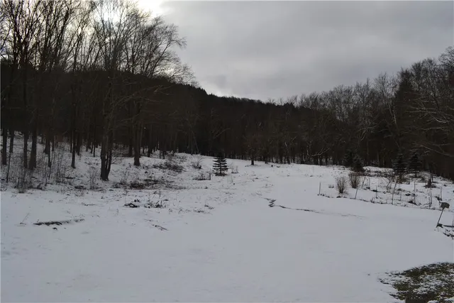 $150,000 | 844 Horton Brook Road, Roscoe, NY 12776