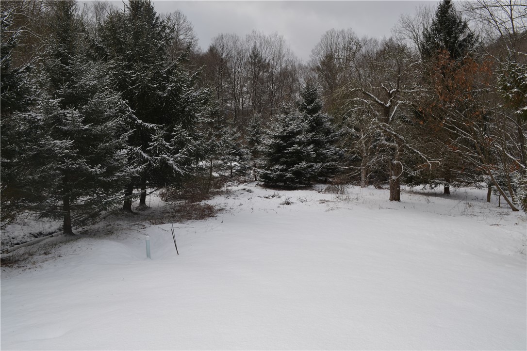 844 Horton Brook Road Roscoe, NY 12776 - Photo 8 of 25 Yard view