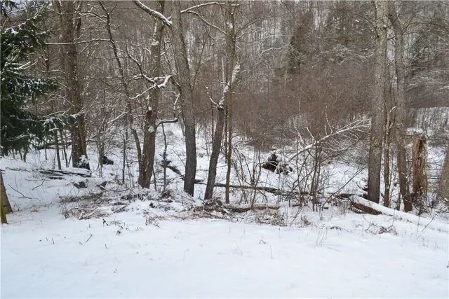 $150,000 | 844 Horton Brook Road, Roscoe, NY 12776