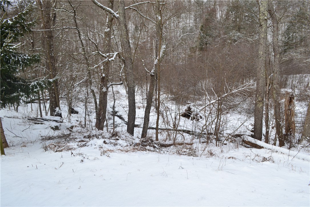 844 Horton Brook Road Roscoe, NY 12776 - Photo 9 of 25 Yard view