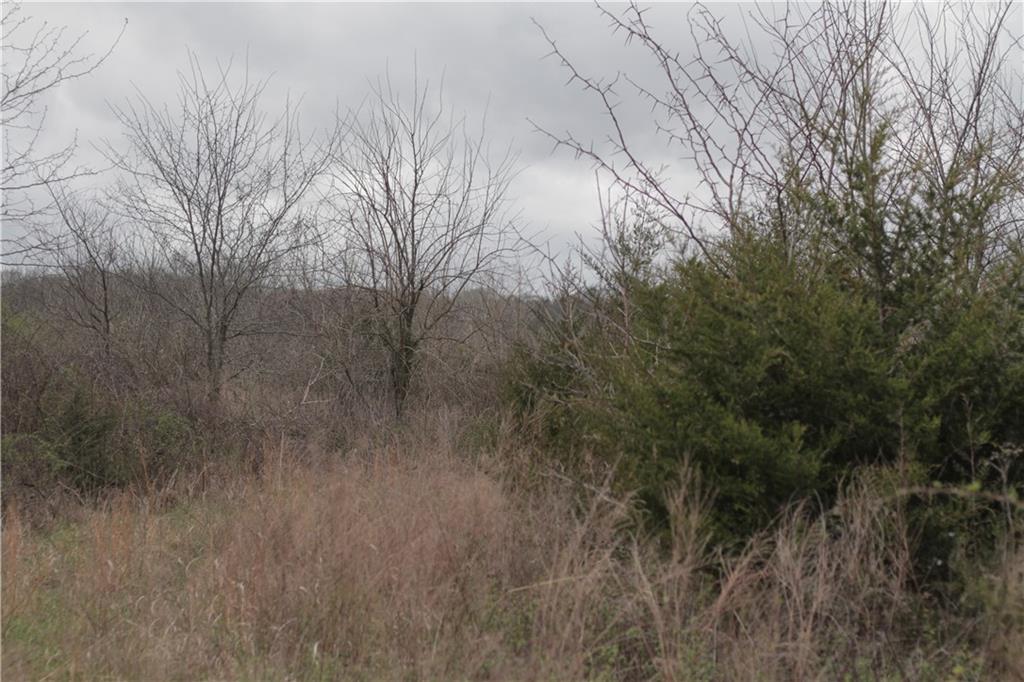 2237 Highway 7 Mapleton, KS 66754 - Photo 54 of 87