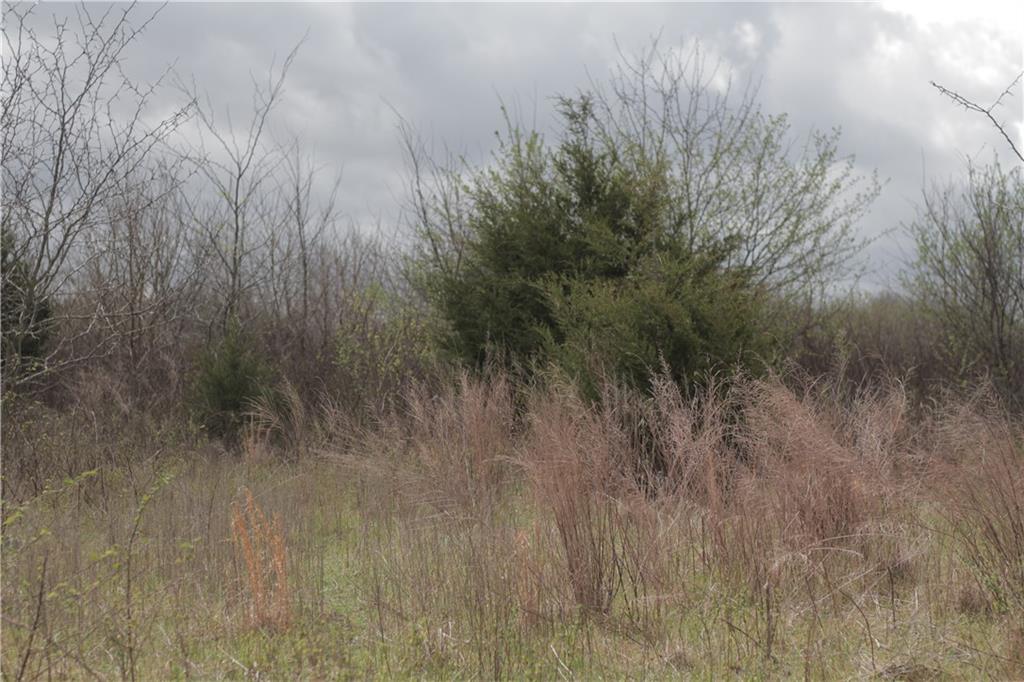 2237 Highway 7 Mapleton, KS 66754 - Photo 59 of 87