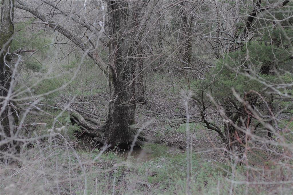 2237 Highway 7 Mapleton, KS 66754 - Photo 60 of 87