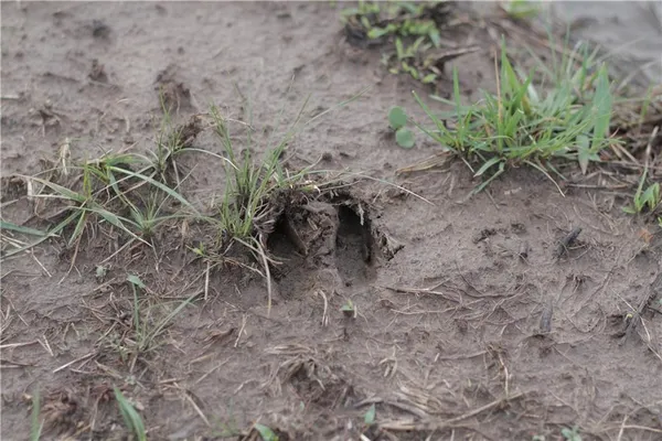 $342,000 | 2237 Highway 7, Mapleton, KS 66754