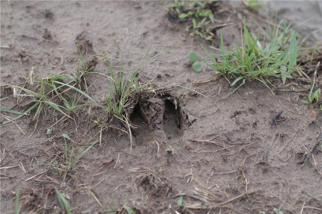 2237 Highway 7 Mapleton, KS 66754 - Photo 66 of 87