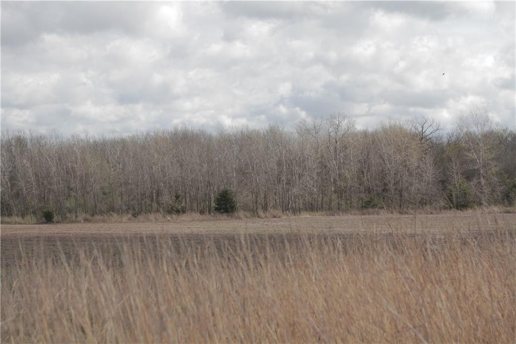 2237 Highway 7 Mapleton, KS 66754 - Photo 69 of 87