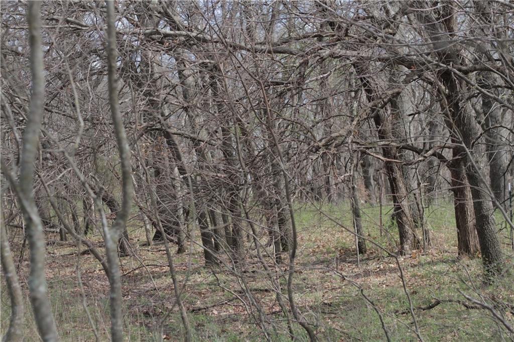 2237 Highway 7 Mapleton, KS 66754 - Photo 71 of 87