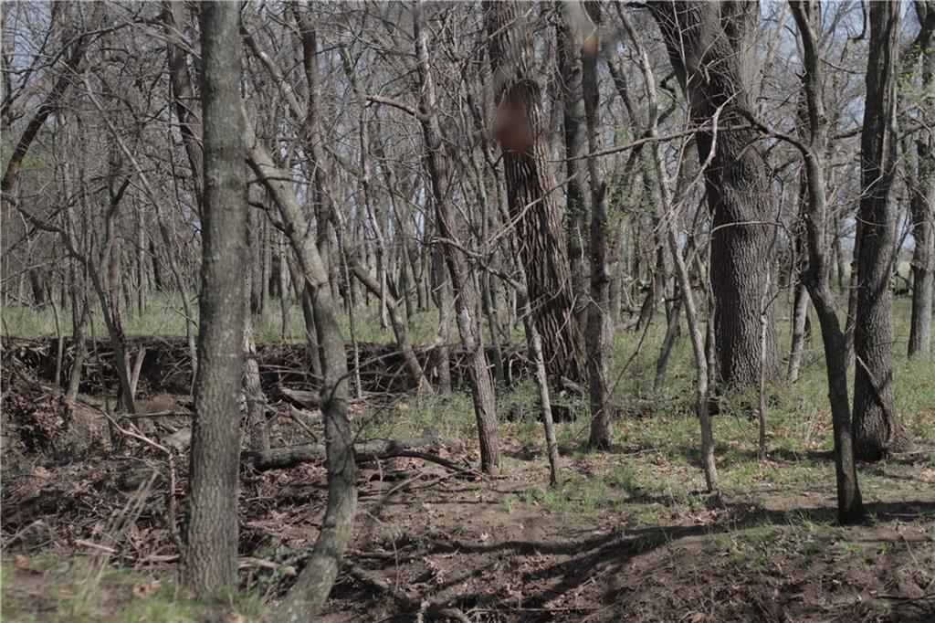 2237 Highway 7 Mapleton, KS 66754 - Photo 72 of 87