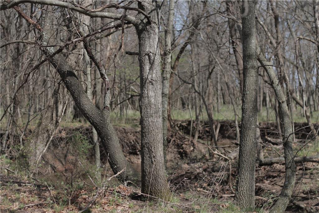 2237 Highway 7 Mapleton, KS 66754 - Photo 73 of 87