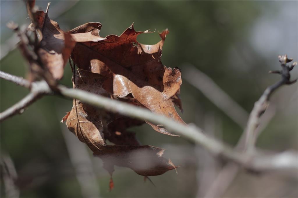 2237 Highway 7 Mapleton, KS 66754 - Photo 74 of 87