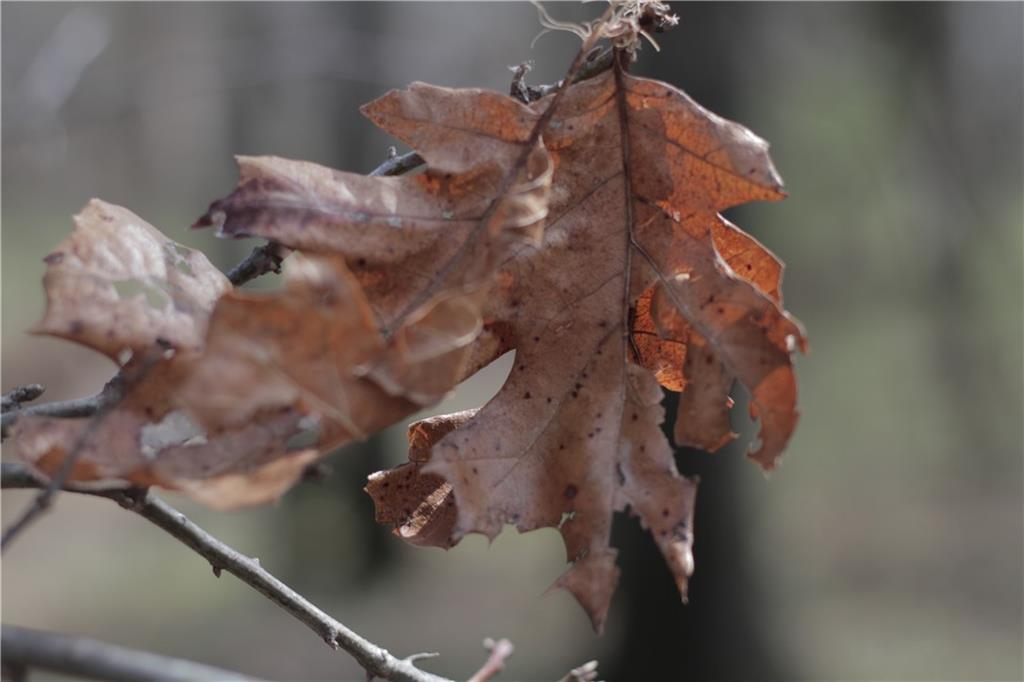 2237 Highway 7 Mapleton, KS 66754 - Photo 75 of 87