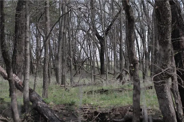 $342,000 | 2237 Highway 7, Mapleton, KS 66754