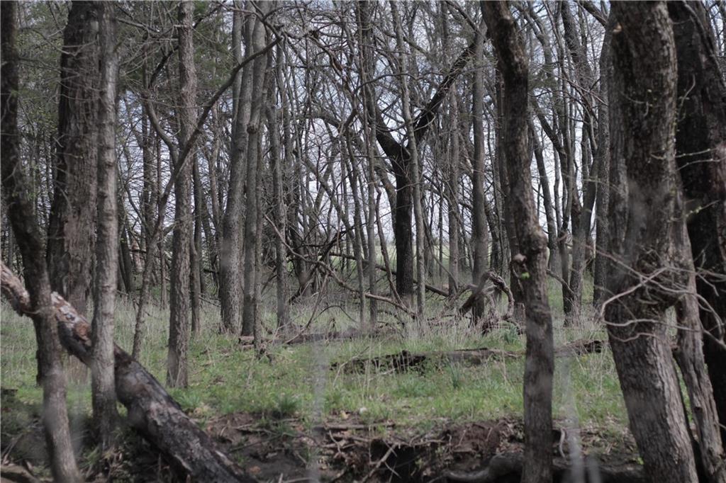 2237 Highway 7 Mapleton, KS 66754 - Photo 78 of 87