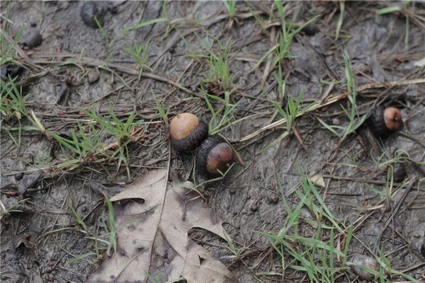 $342,000 | 2237 Highway 7, Mapleton, KS 66754