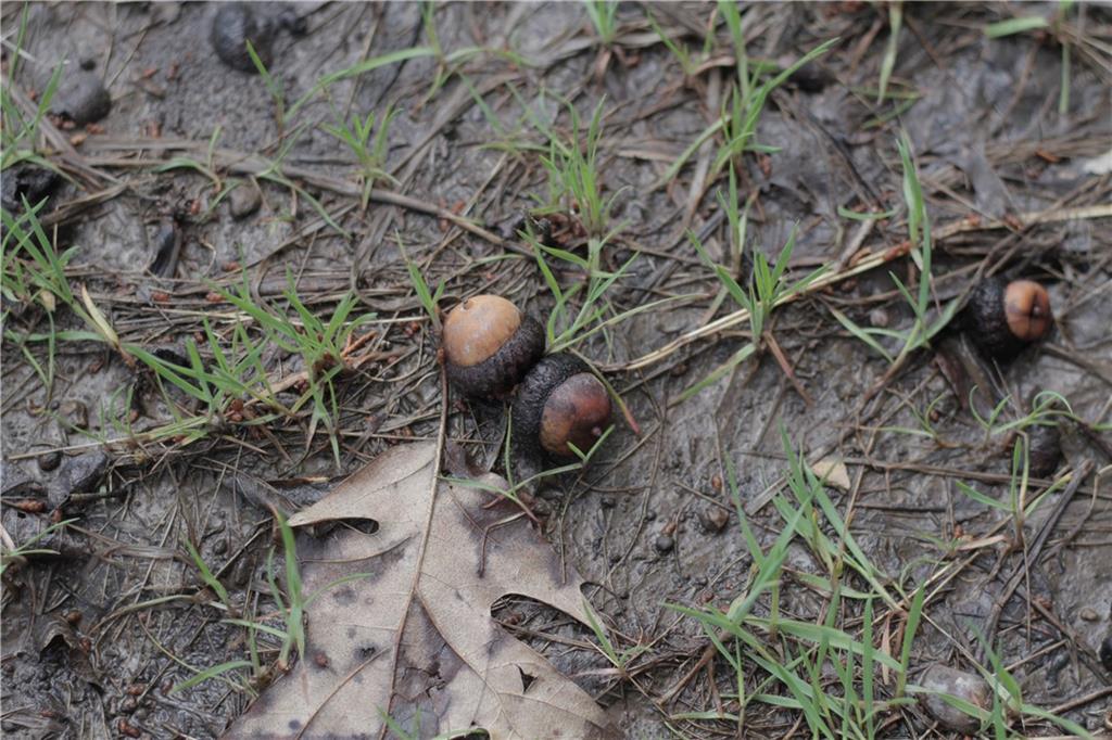 2237 Highway 7 Mapleton, KS 66754 - Photo 85 of 87