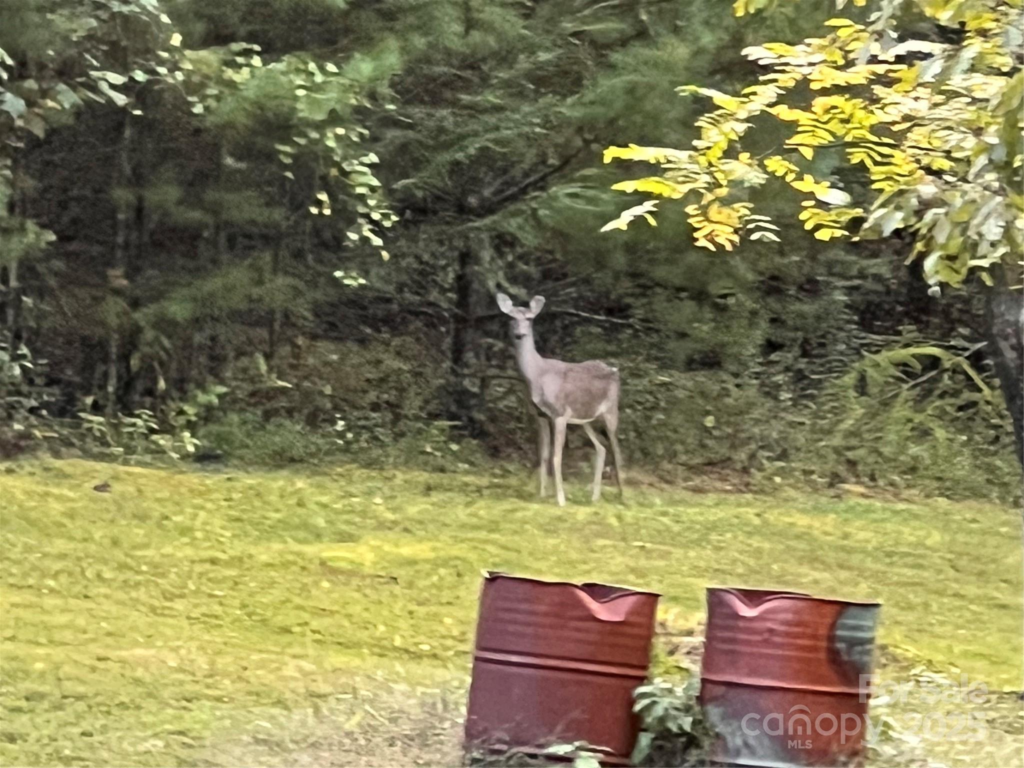 3788 Fish Hatchery Road Morganton, NC 28655 - Photo 9 of 23 Gallery Image 9
