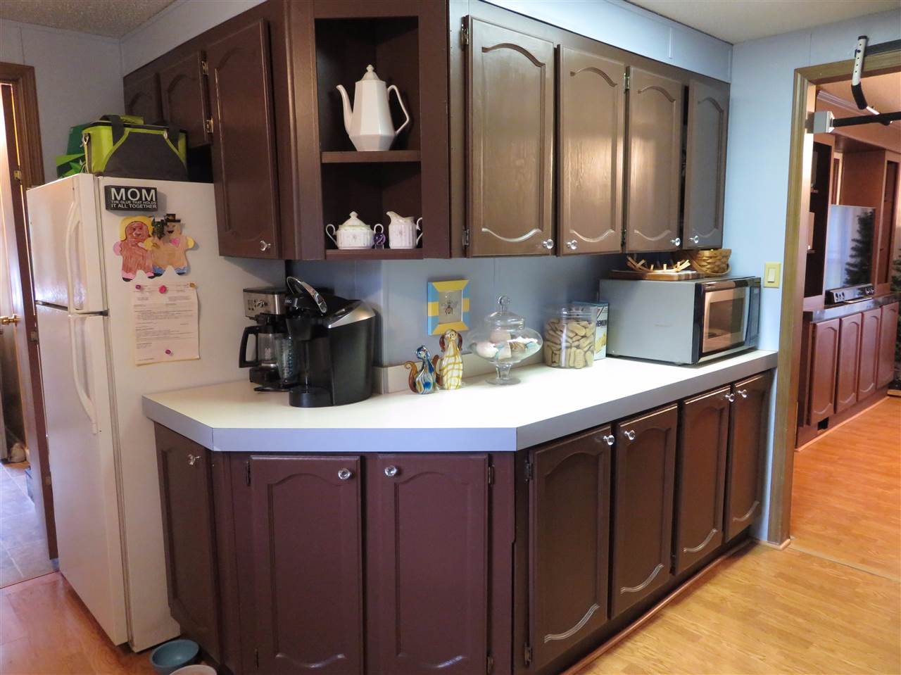 1571 East Britton Road Morrice, MI 48857 - Photo 3 of 15 31324094-2.JPG