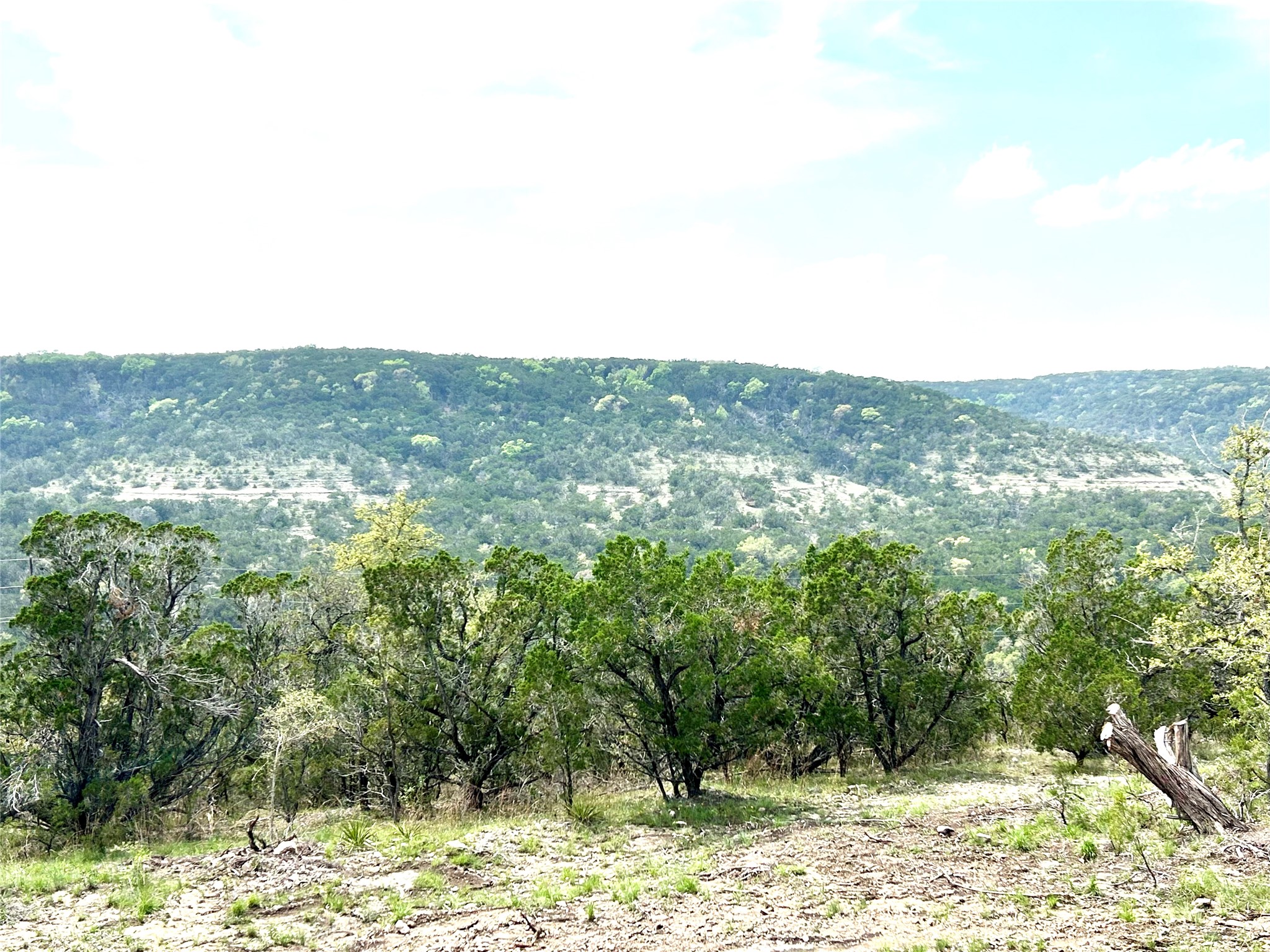 10651 Ranch Road 12 Union, Unit D San Marcos, TX 78666 - Photo 3 of 5 a view of a forest