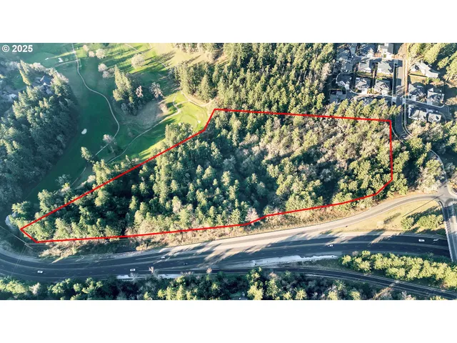 a black and white painting of a tree