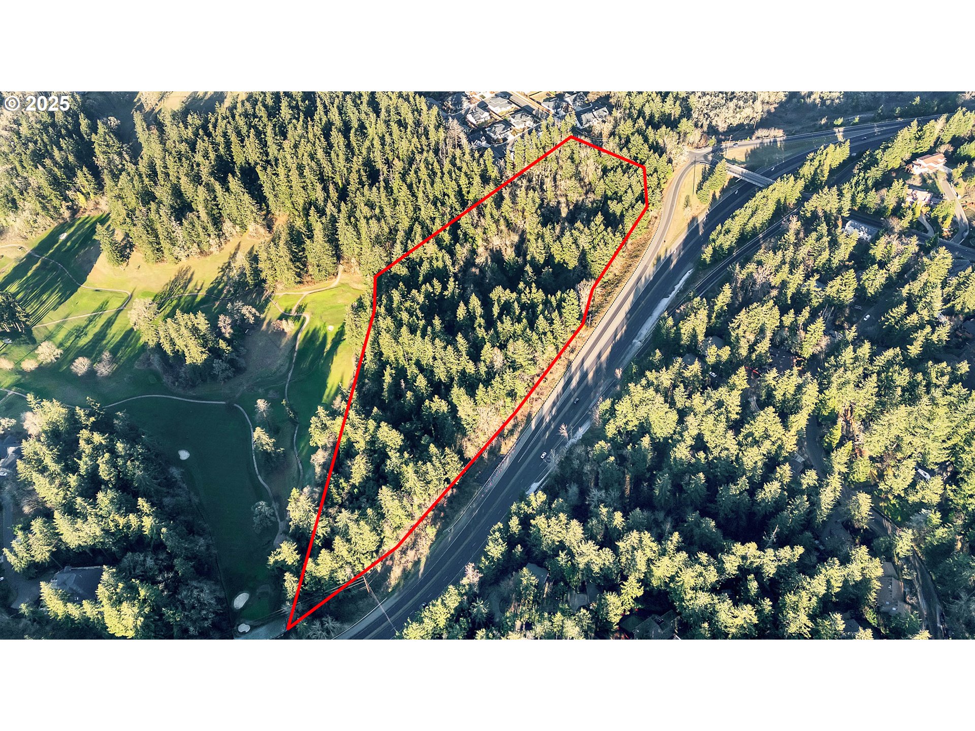 Spring Boulevard Eugene, OR 97403 - Photo 3 of 9 a black and white painting of a tree