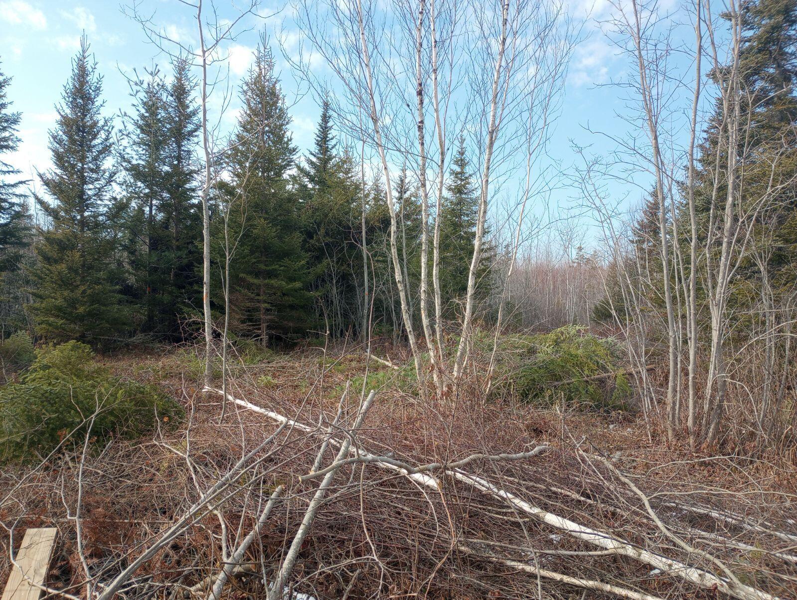145 Dyer Bay Wood Road Steuben, ME 04680 - Photo 12 of 24 6596395002234180040