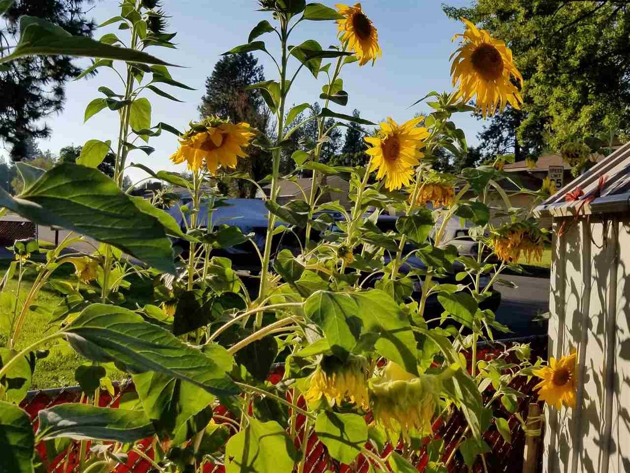 1008 South Park Road Spokane Valley, WA 99212 - Photo 18 of 20