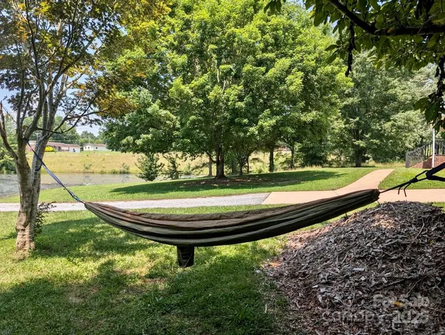 a view of a yard with large trees