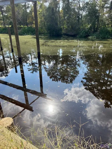 $64,900 | 23101 Carter Plantation Drive, Springfield, LA 70462