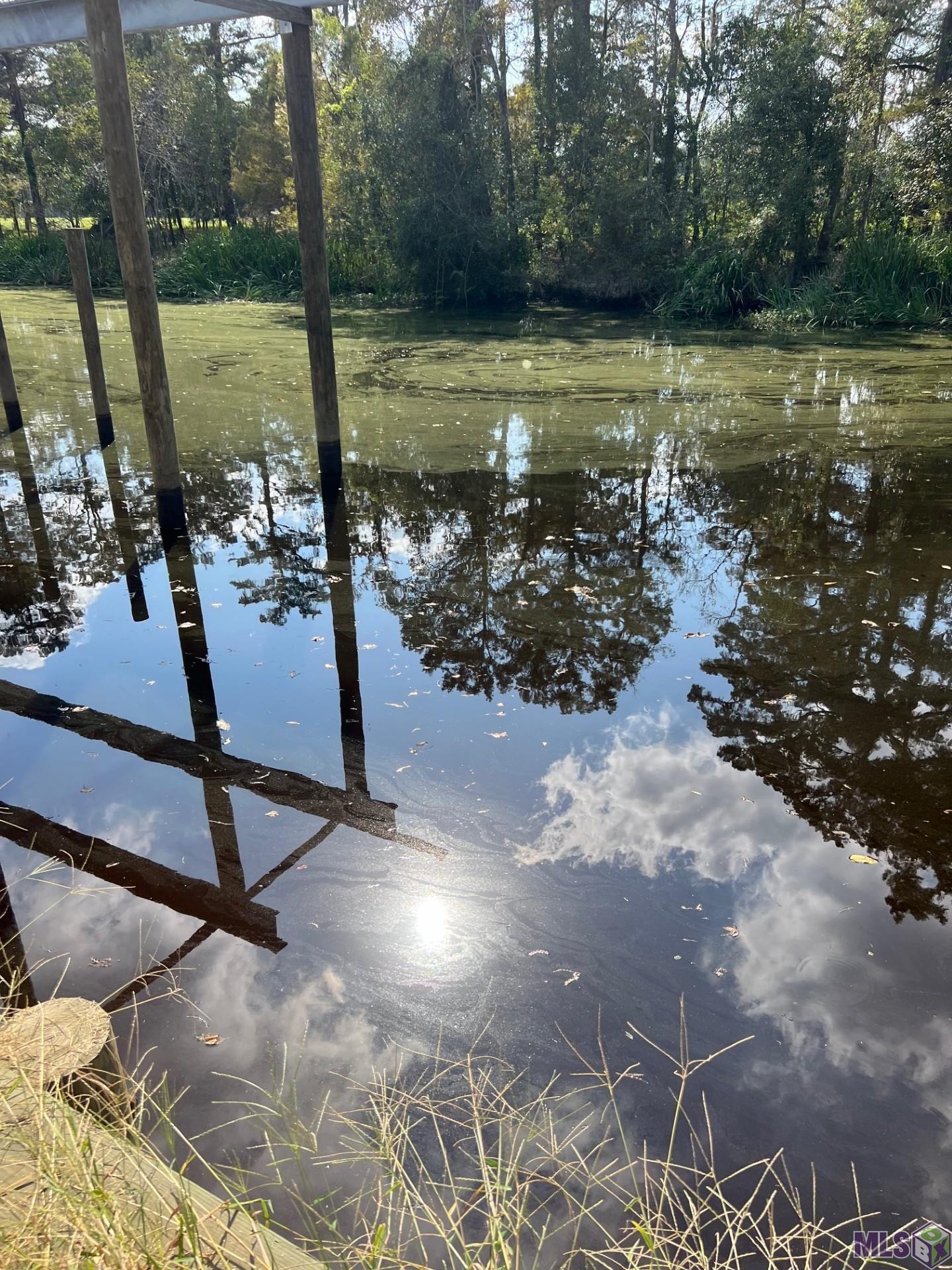 23101 Carter Plantation Drive Springfield, LA 70462 - Photo 7 of 9