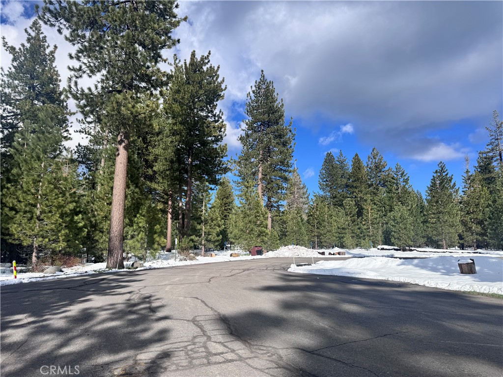 11784 Rhineland Avenue Truckee, CA 96161 - Photo 4 of 6 a view of a house with a snow