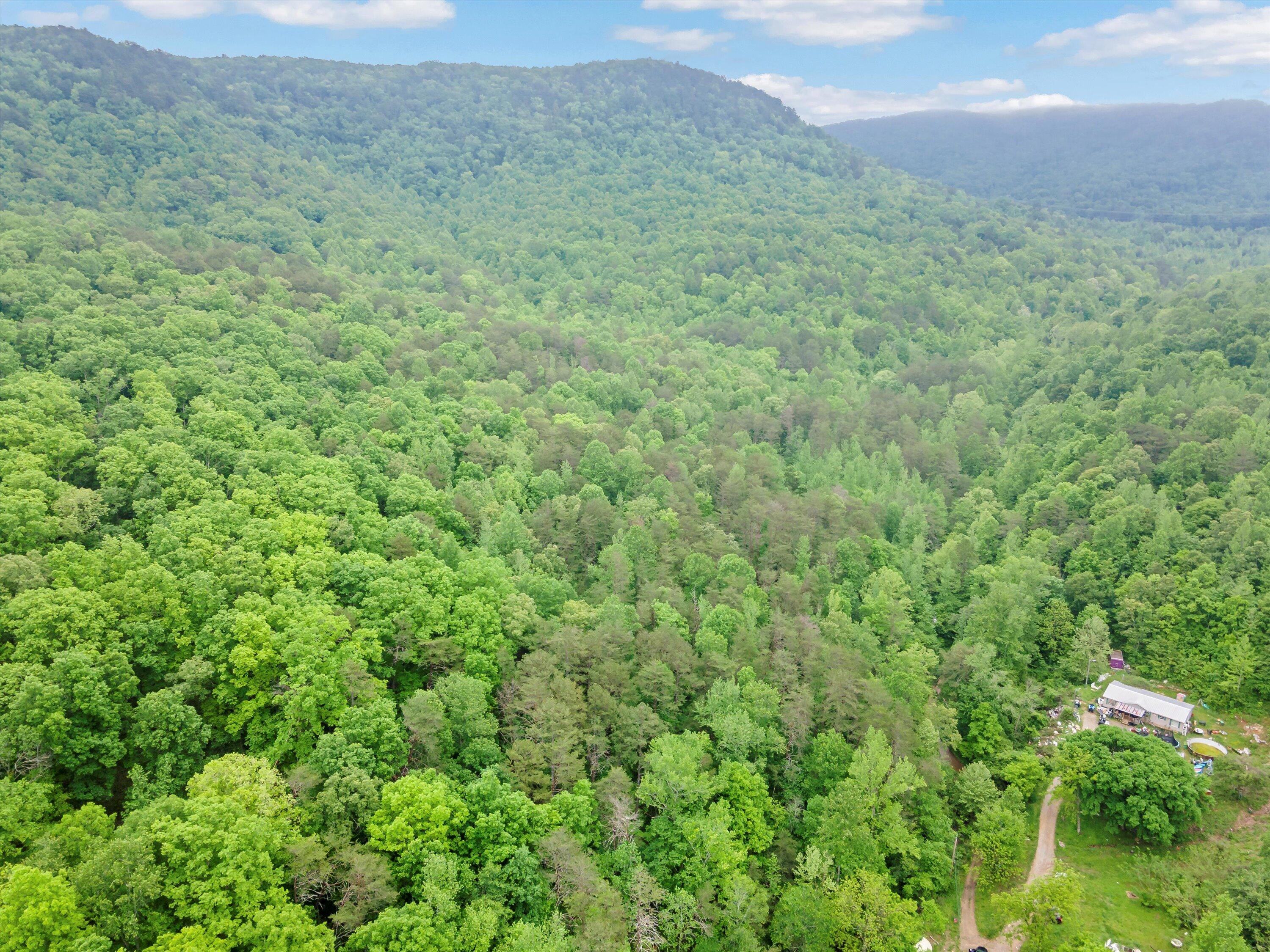 0 Egypt Hollow Road Trenton, GA 30752 - Photo 1 of 15 4-0 Egypt Hollow Rd Aerial-04