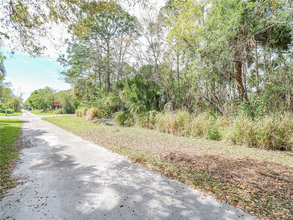 789 Sebastian Boulevard Sebastian, FL 32958 - Photo 13 of 14 a view of a yard with large trees