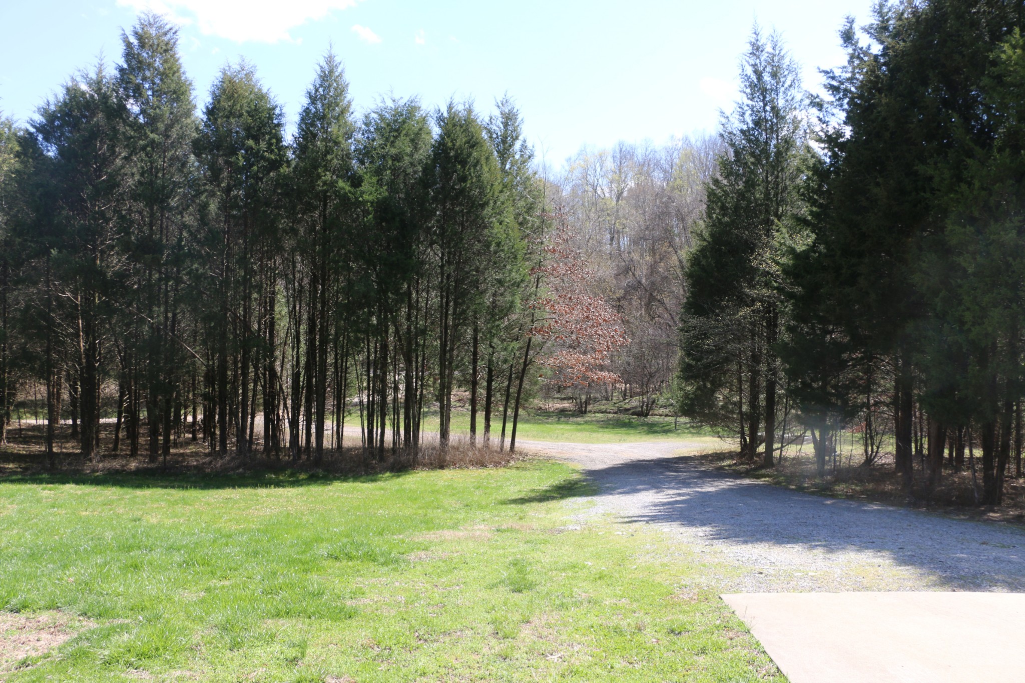 2548 Floyd Road Clarksville, TN 37042 - Photo 19 of 24 Gallery Image 19