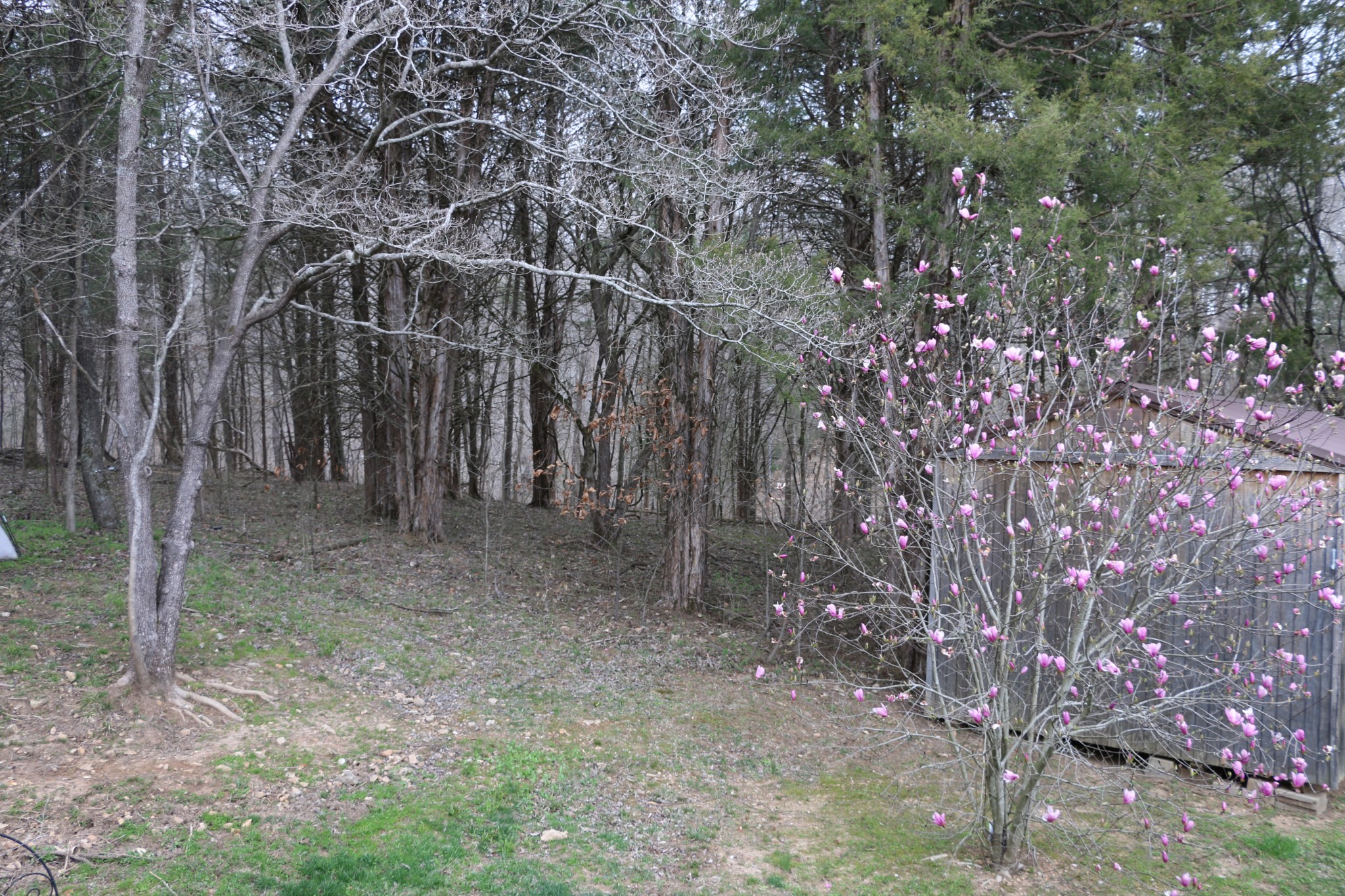 2548 Floyd Road Clarksville, TN 37042 - Photo 20 of 24 Gallery Image 20